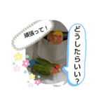 kawafamily22（個別スタンプ：1）