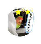 kawafamily22（個別スタンプ：2）