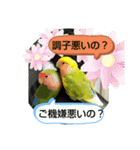 kawafamily22（個別スタンプ：3）