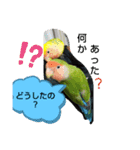 kawafamily22（個別スタンプ：4）