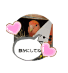 kawafamily22（個別スタンプ：5）