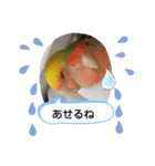 kawafamily22（個別スタンプ：6）