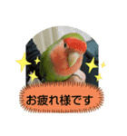 kawafamily22（個別スタンプ：7）