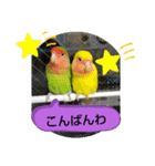 kawafamily22（個別スタンプ：9）