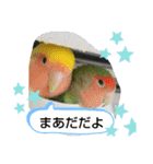 kawafamily22（個別スタンプ：12）