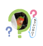 kawafamily22（個別スタンプ：13）