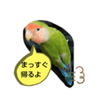 kawafamily22（個別スタンプ：14）
