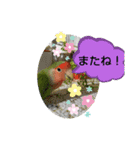 kawafamily22（個別スタンプ：16）