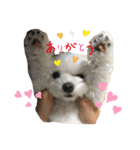 るあなずすたんぷ（個別スタンプ：4）