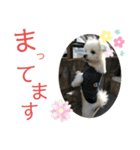 るあなずすたんぷ（個別スタンプ：6）