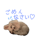 るあなずすたんぷ（個別スタンプ：7）