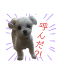 るあなずすたんぷ（個別スタンプ：8）