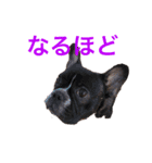 ボンギャビ6（個別スタンプ：3）