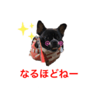 ボンギャビ6（個別スタンプ：9）