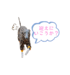 イッヌと。2（個別スタンプ：10）