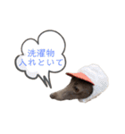 イッヌと。2（個別スタンプ：18）