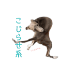 イッヌと。2（個別スタンプ：32）