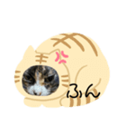みけねこみーちゃん3（個別スタンプ：4）