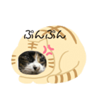 みけねこみーちゃん3（個別スタンプ：5）