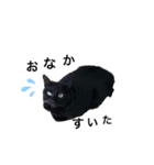 chibafam2（個別スタンプ：3）