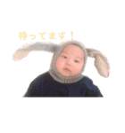 すたこた（個別スタンプ：1）