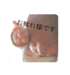 すたこた（個別スタンプ：5）