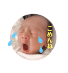 すたこた（個別スタンプ：6）