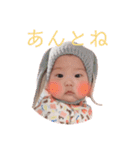 すたこた（個別スタンプ：16）