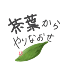 自我の生えたお茶（個別スタンプ：3）