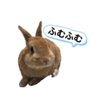 おしゃべり☆ゆっきー（個別スタンプ：9）