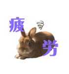 おしゃべり☆ゆっきー（個別スタンプ：19）
