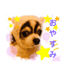 モモちゃん(日常会話)（個別スタンプ：2）