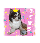 モモちゃん(日常会話)（個別スタンプ：3）
