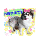 モモちゃん(日常会話)（個別スタンプ：5）