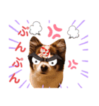 モモちゃん(日常会話)（個別スタンプ：6）