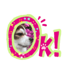 モモちゃん(日常会話)（個別スタンプ：8）