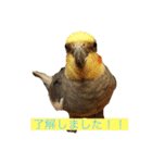 マルと太郎（個別スタンプ：1）