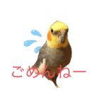 マルと太郎（個別スタンプ：3）