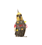 マルと太郎（個別スタンプ：6）
