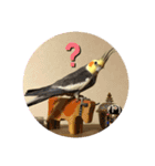 マルと太郎（個別スタンプ：8）