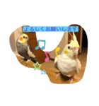 マルと太郎（個別スタンプ：9）