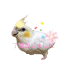 マルと太郎（個別スタンプ：10）