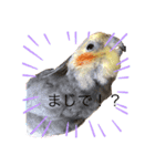 マルと太郎（個別スタンプ：11）