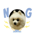 hakutan☆（個別スタンプ：3）