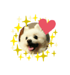hakutan☆（個別スタンプ：4）
