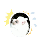 hakutan☆（個別スタンプ：6）