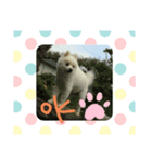 hakutan☆（個別スタンプ：7）