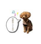 かまちょなすーくん（個別スタンプ：2）