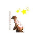 かまちょなすーくん（個別スタンプ：7）