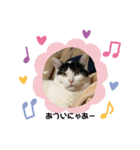 Tono nyan（個別スタンプ：2）